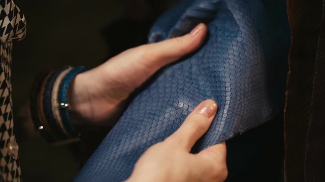 hands touching the leather of a python snake
