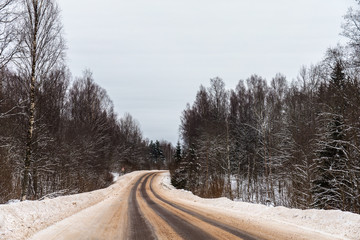 road in the winter forest