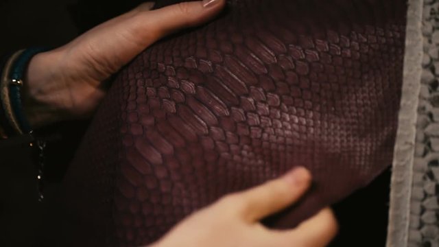 hands touching the leather of a python snake