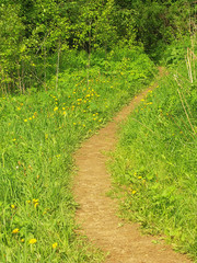 Obraz premium Hiking trail on the top of mountain indefatigable, kananaskis country, alberta, canada