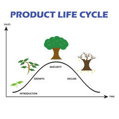 Product Life Cycle on White Background