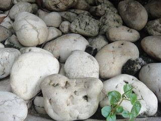 Decorative rock garden