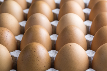 Selective focus on one of egg rows, food background.