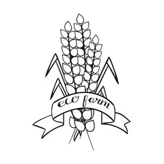 Ears of wheat tied with a ribbon with text organic products from the farm, the primitive subjects of agriculture, black contour on white background