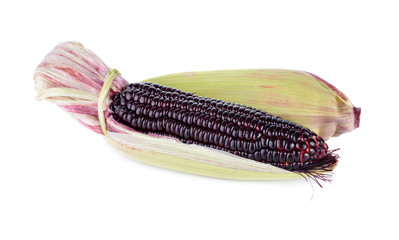Fototapeta premium uncooked purple corn on white background