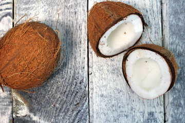 Coconut on a gray background