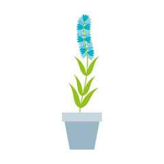 cute garden flower in pot vector illustration design
