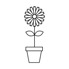 cute garden flower in pot vector illustration design