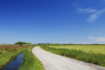 Dutch country landscape on a clear sunny day