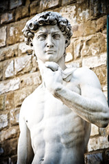 Fototapeta na wymiar Michelangelo's David Portrait, Statue in Florence