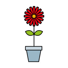 cute garden flower in pot vector illustration design