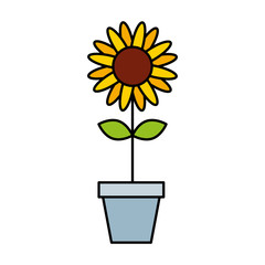 Obraz premium cute garden flower in pot vector illustration design