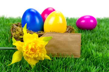 Osternest mit Schild 