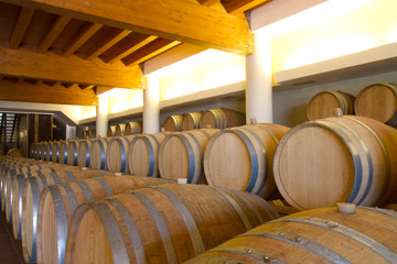 wine cellar for storing aged wine