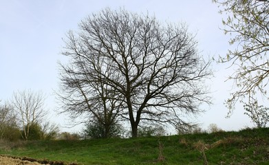 Obraz premium Albero E panorama 2017