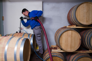 wine cellar for storing aged wine