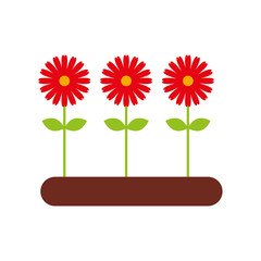 Cultivated flower garden icon vector illustration design