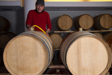 wine cellar for storing aged wine