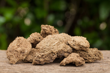 Close up dried cow dung on a wood,  Natural background