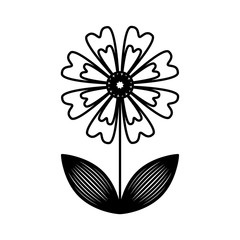 cute flower isolated icon vector illustration design