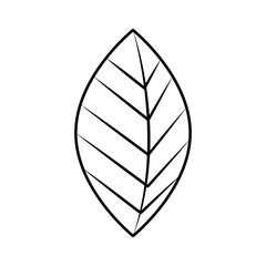 cute garden leafs decoration vector illustration design