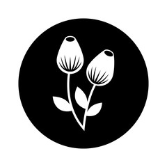 cute flower isolated icon vector illustration design