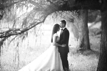 The brides embracing near trees