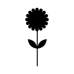 cute flower isolated icon vector illustration design