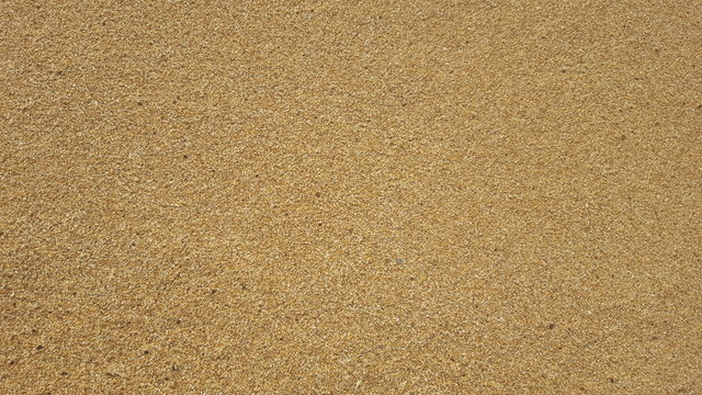 beach sand background texture close up copy space.