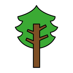 tree plant pine isolated icon vector illustration design