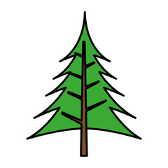tree plant pine isolated icon vector illustration design
