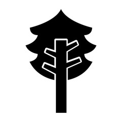 tree plant pine isolated icon vector illustration design