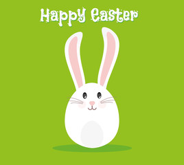 Fototapeta premium Easter rabbit, easter Bunny