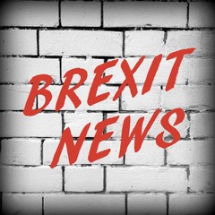 The words Brexit News in red text on a black and white brick wall background