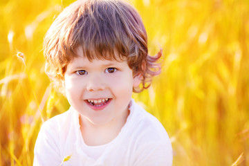 Blond boy smiling, sitting in a yellow wheat field. His clear eyes shine and reflect light