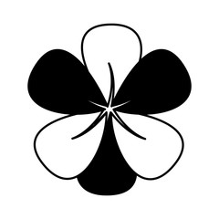 clover leaf plant icon vector illustration design