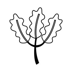 leafs plant isolated icon vector illustration design