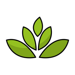 leafs plant isolated icon vector illustration design