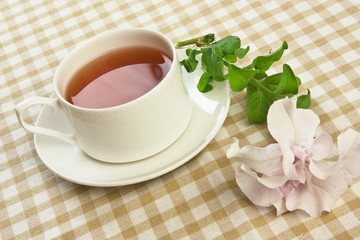 herbal tea