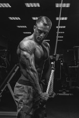 Fototapeta na wymiar Black and white portrait of handsome athletic bodybuilder doing pushdown rope attachment workout. Shirtless power sportsmen perfect physique and deltoid triceps muscle Motivation inspiration concept