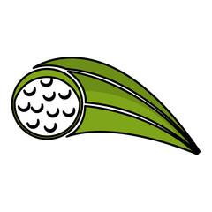 golf ball isolated icon vector illustration design