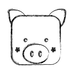 figure square pig face animal, vector illustration