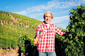 Winemaker Standing By His Vineyard