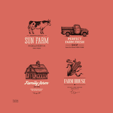 Vintage farm food logo collection. Engraved logo set. Vector illustration