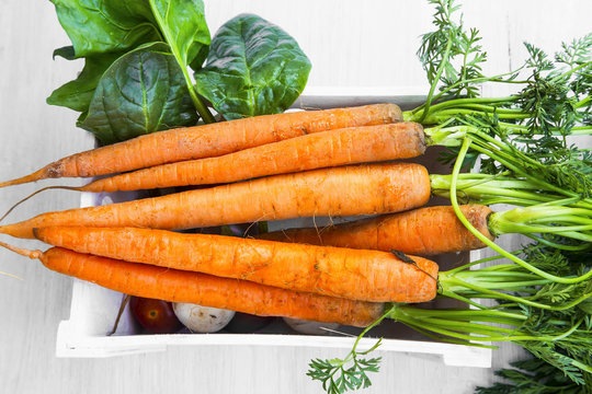 Fresh organic carrots bunch with leaves, sweet bio carrots on white crate