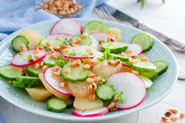 Potato salad with fresh cucumber and radish, horizontal