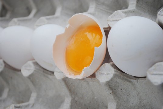 Eggs in paper tray on white background