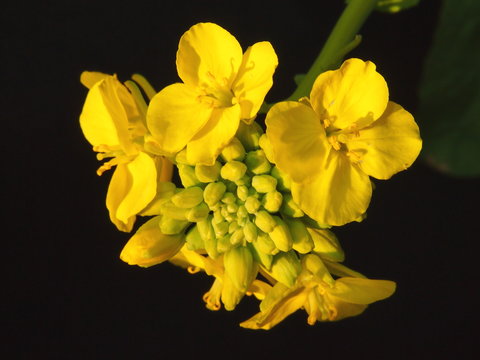 理科教材images Browse 18 Stock Photos Vectors And Video Adobe Stock