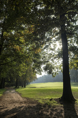 Obraz premium Monza (Italy): the park at fall