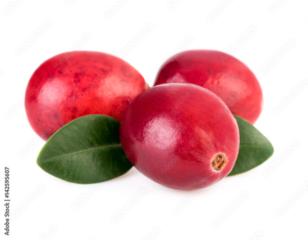 Canvas Prints Cranberries close up. Three ripe cranberry isolated on white